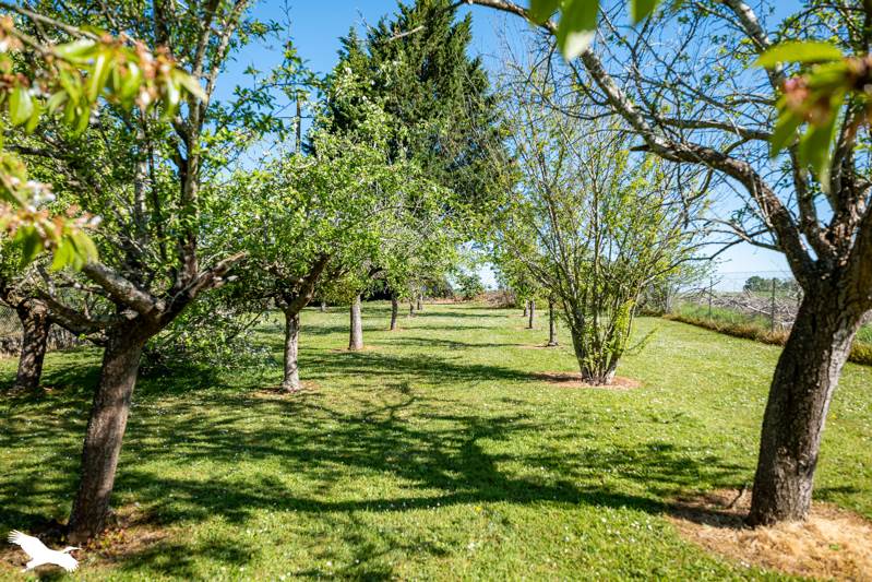 Vente Maison VARZAY - 7 pièces -119 m² - (17460)