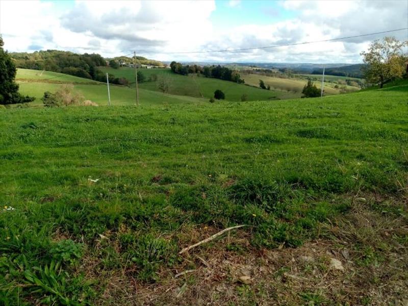 Vente Terrain ALBUSSAC - -2500 m² - (19380)