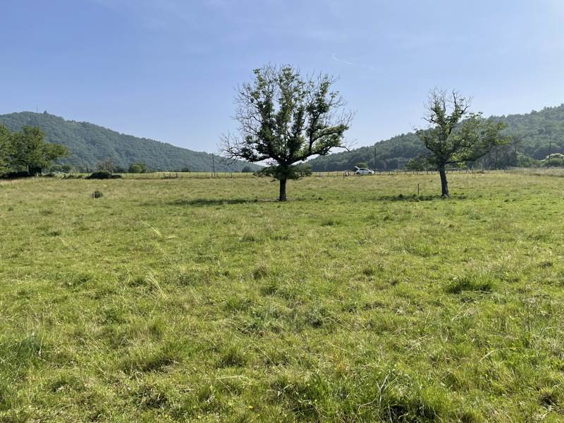 Vente Terrain MONCEAUX SUR DORDOGNE - -1572 m² - (19400)