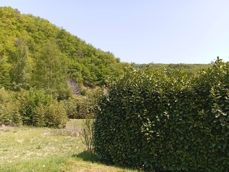 Vente Maison MONCEAUX SUR DORDOGNE - 4 pièces -112 m² - (19400)