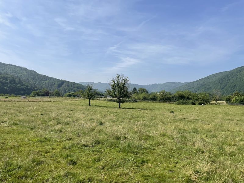 Vente Terrain MONCEAUX SUR DORDOGNE - -1910 m² - (19400)