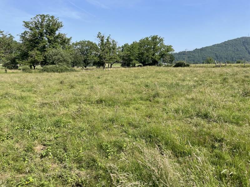 Vente Terrain MONCEAUX SUR DORDOGNE - -1910 m² - (19400)