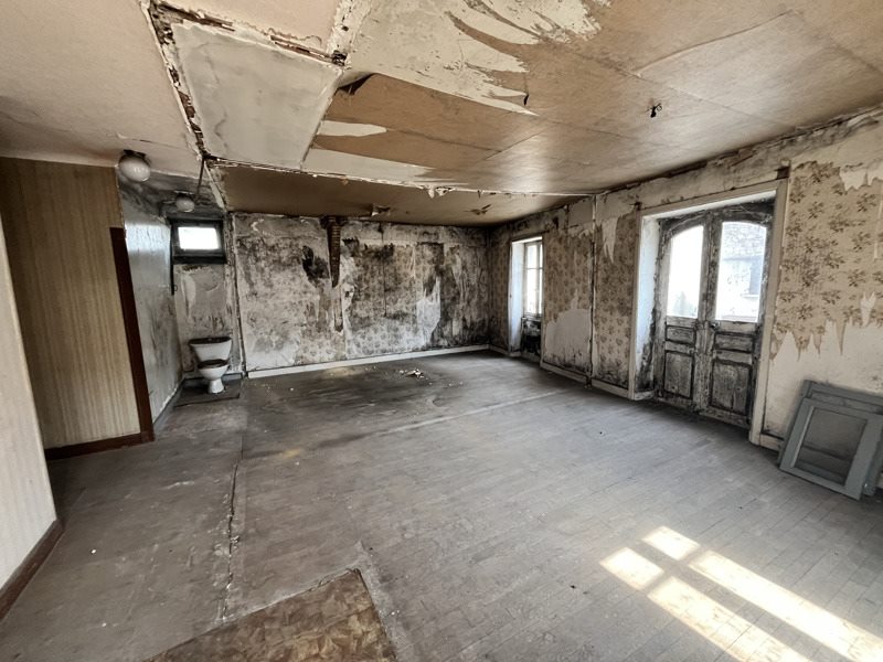 Vente Immeuble ARGENTAT SUR DORDOGNE - -  410 m² - (19400)