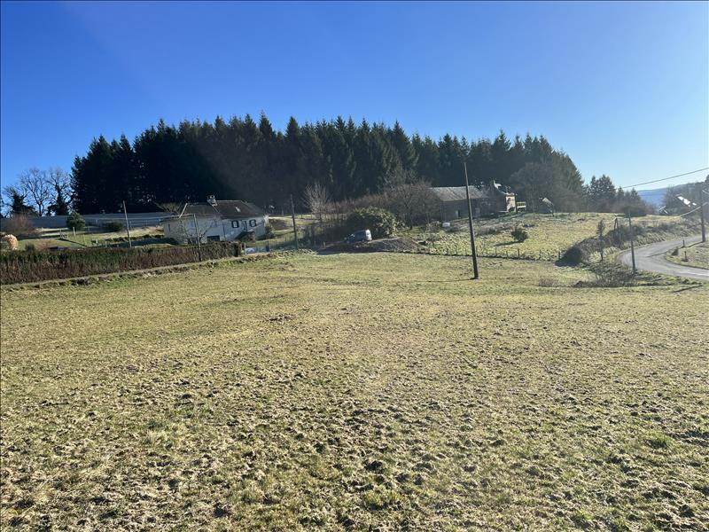 Vente Terrain NEUVILLE - -1900 m² - (19380)