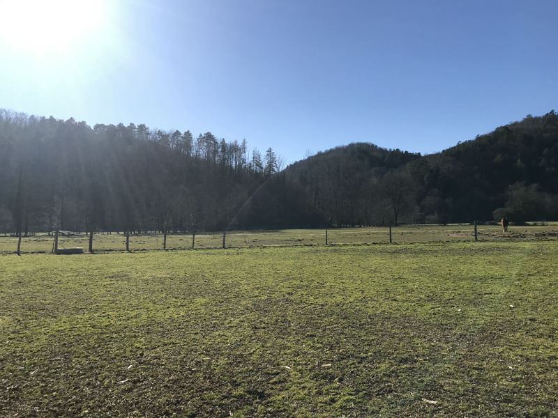 Vente Maison ARGENTAT SUR DORDOGNE - 8 pièces -184 m² - (19400)
