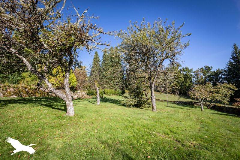 Vente Maison Auriac - 8 pièces -221 m² - (19220)