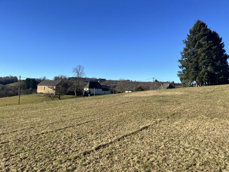 Vente Terrain NEUVILLE 19380  2956 m²