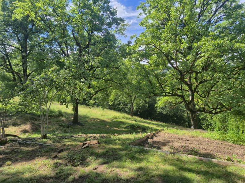 Vente Maison ARGENTAT SUR DORDOGNE - 8 pièces -180 m² - (19400)