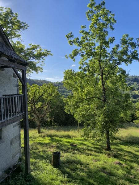 Vente Maison ARGENTAT SUR DORDOGNE - 8 pièces -180 m² - (19400)