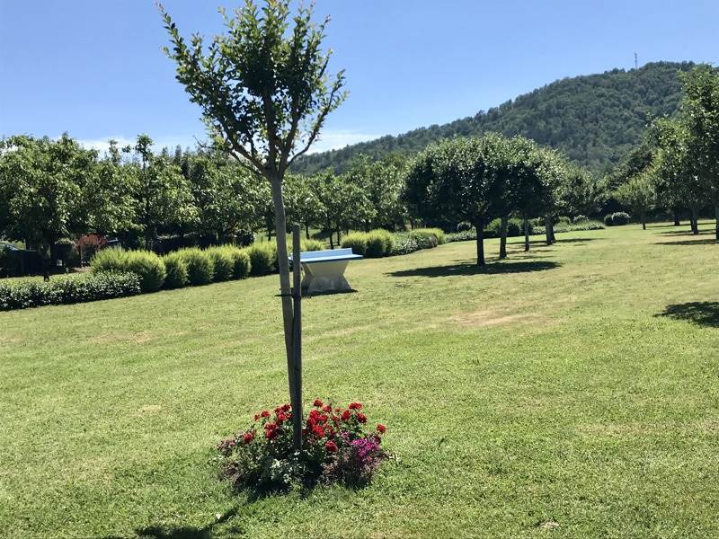 Vente Appartement ARGENTAT SUR DORDOGNE - 2 pièces -27 m² - (19400)