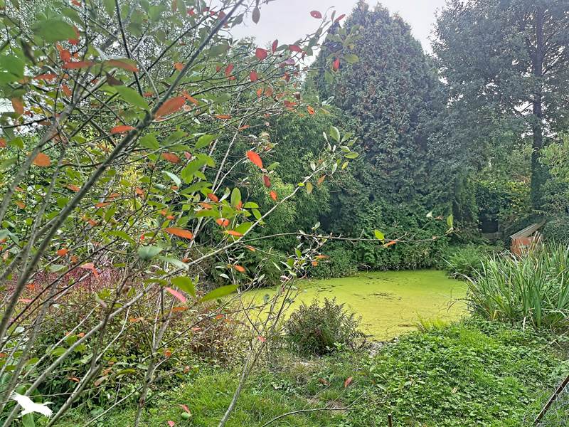 Vente Maison Champagnac-la-Prune - 4 pièces -52 m² - (19320)