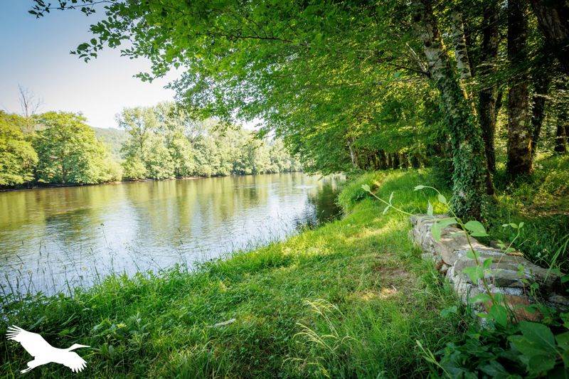 Vente Maison MONCEAUX SUR DORDOGNE - 9 pièces -152 m² - (19400)