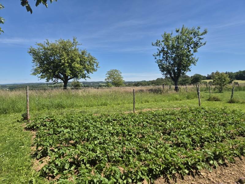 Vente Maison GOULLES - 3 pièces -75 m² - (19430)