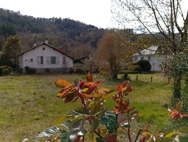 Vente Maison ST CHAMANT - 5 pièces -80 m² - (19380)