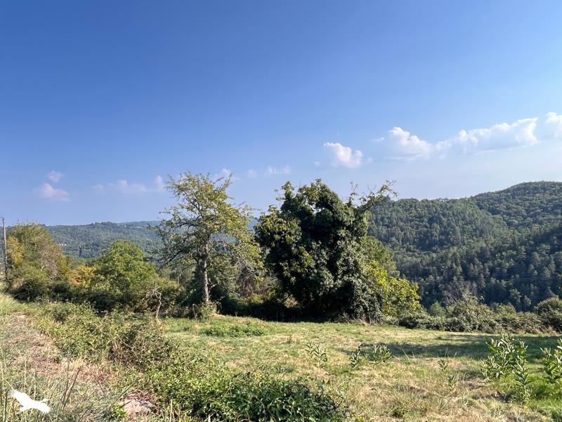 Vente Maison ST BONNET ELVERT - 3 pièces -90 m² - (19380)