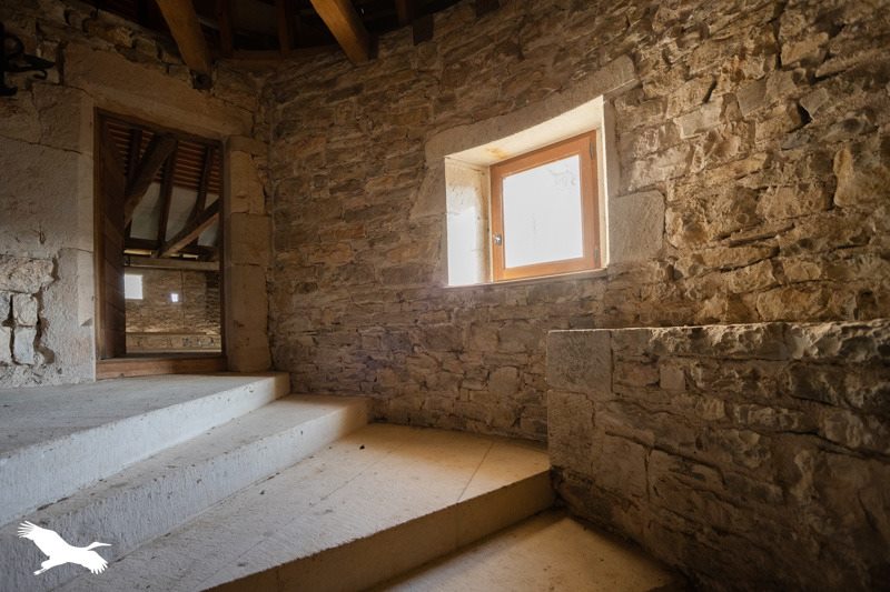 Vente Château AMBEYRAC - 7 pièces -295 m² - (12260)