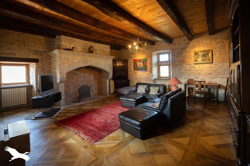 Vente Château AMBEYRAC - 7 pièces -295 m² - (12260)