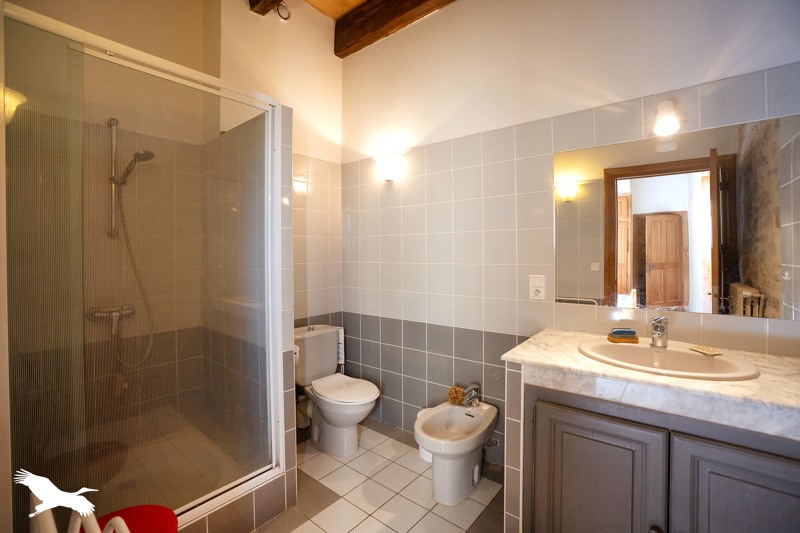 Vente Château AMBEYRAC - 7 pièces -295 m² - (12260)
