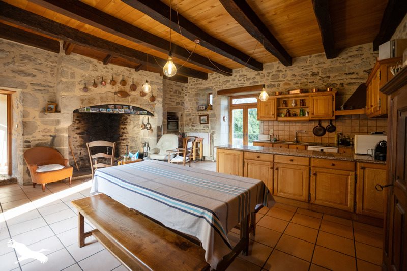 Vente Château AMBEYRAC - 7 pièces -295 m² - (12260)