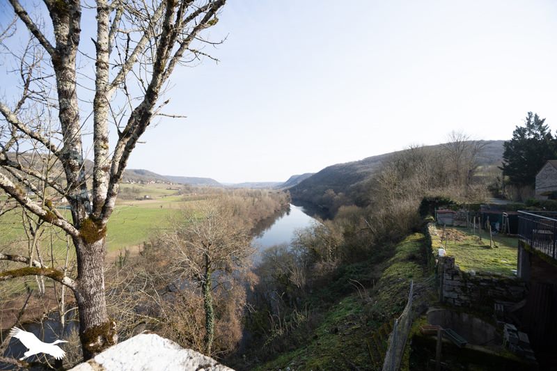 Vente Château AMBEYRAC - 7 pièces -295 m² - (12260)