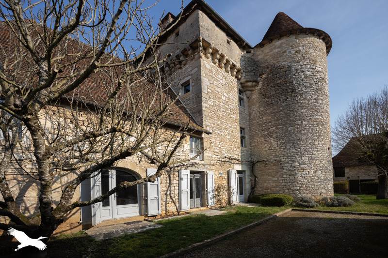 Vente Château AMBEYRAC - 7 pièces -295 m² - (12260)