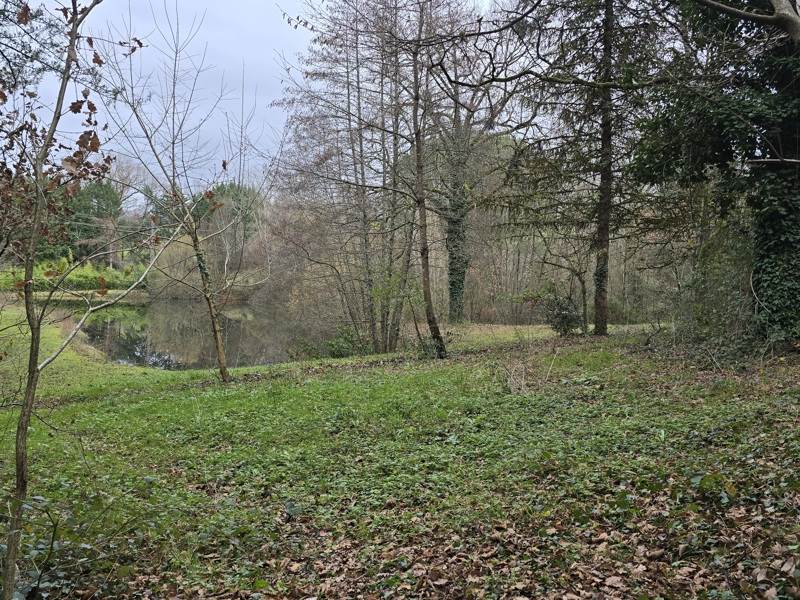 Vente Terrain SONNAC - -39846 m² - (12700)