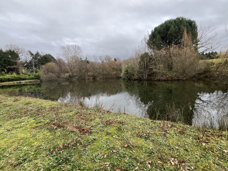 Vente Terrain SONNAC - -39846 m² - (12700)