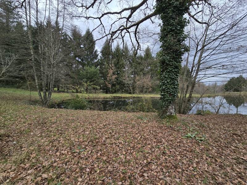 Vente Terrain SONNAC - -39846 m² - (12700)