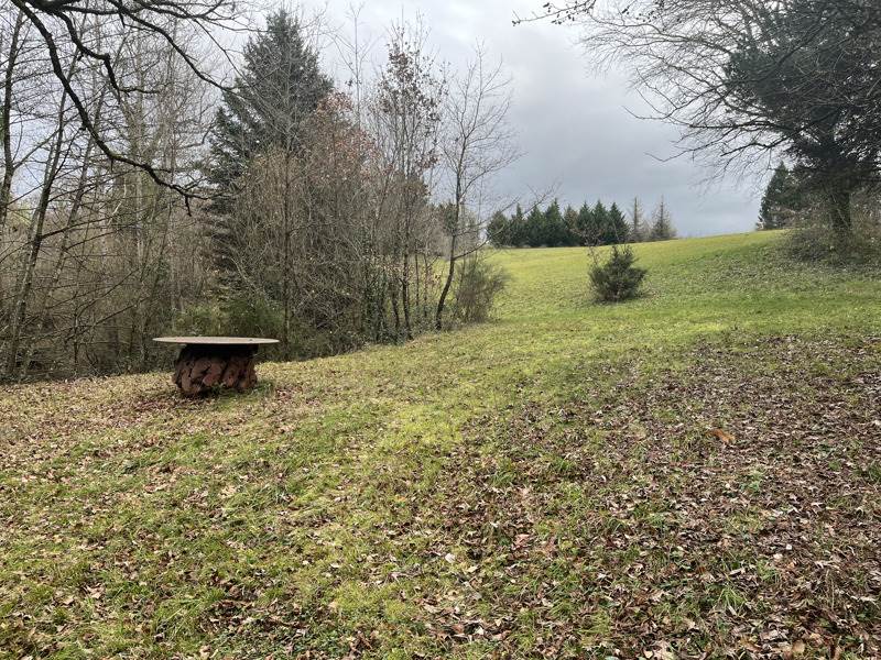 Vente Terrain SONNAC - -39846 m² - (12700)
