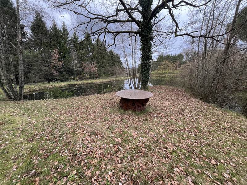 Vente Terrain SONNAC - -39846 m² - (12700)