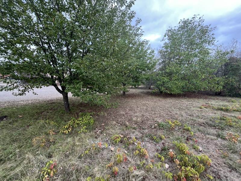 Vente Terrain ANGLARS JUILLAC - -1033 m² - (46140)
