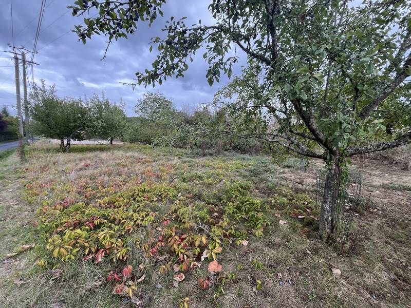 Vente Terrain ANGLARS JUILLAC - -1033 m² - (46140)