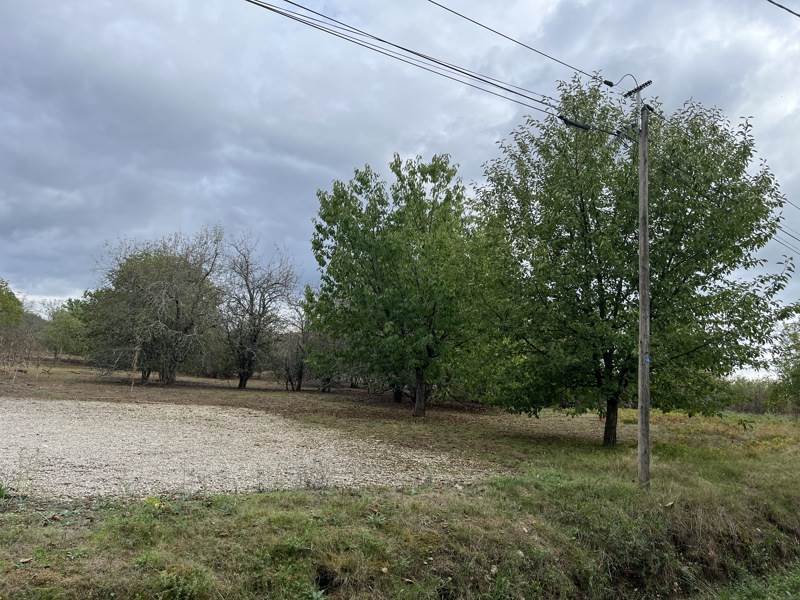 Vente Terrain ANGLARS JUILLAC - -1033 m² - (46140)