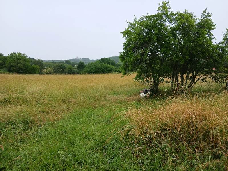 Vente Maison MARMINIAC - 1 pièce -40 m² - (46250)