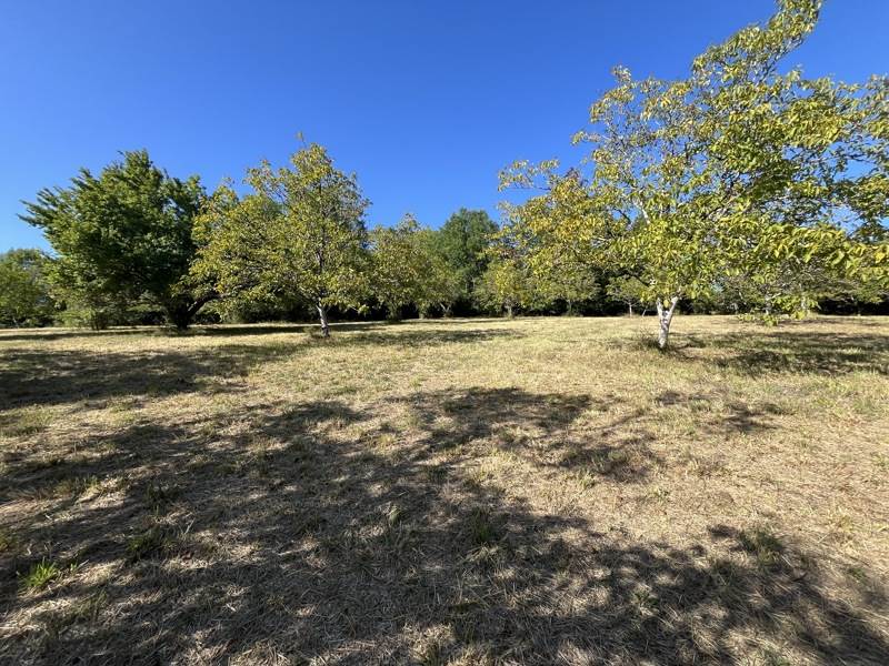 Vente Terrain Pontcirq - -8830 m² - (46150)