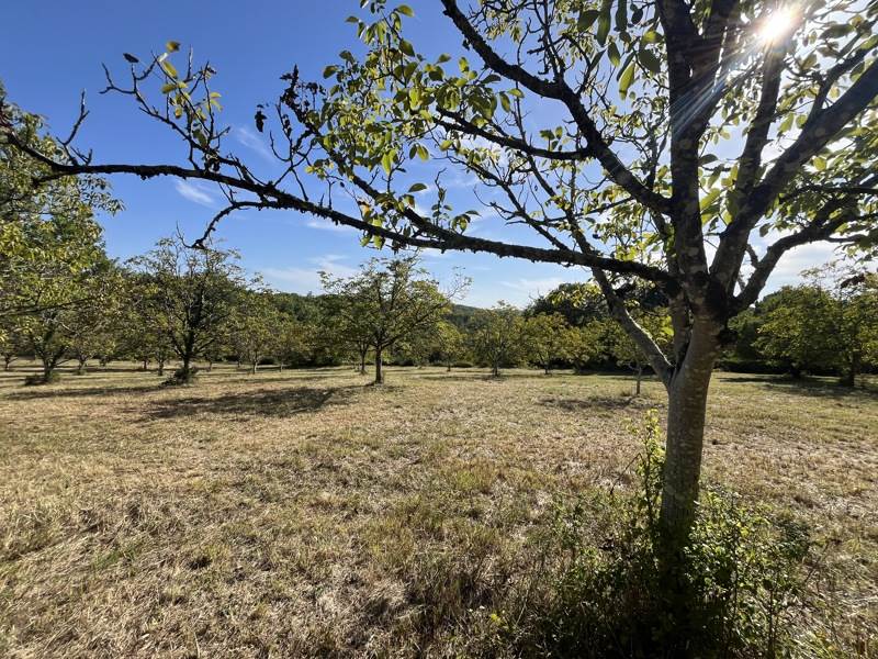 Vente Terrain Pontcirq - -8830 m² - (46150)