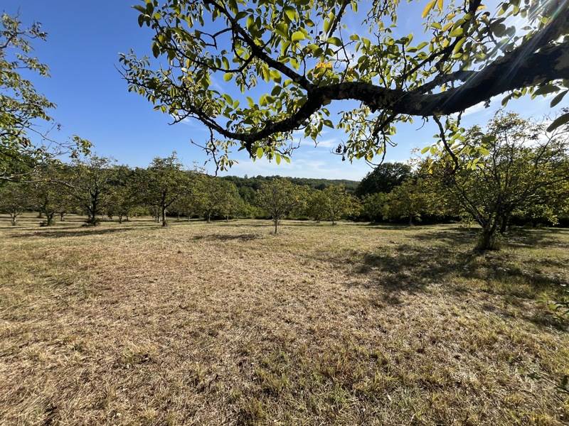 Vente Terrain Pontcirq - -8830 m² - (46150)