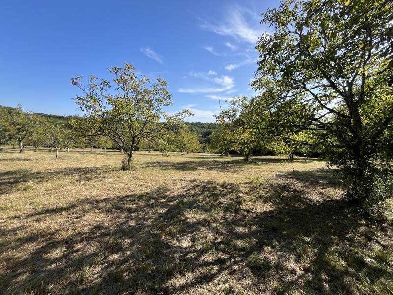 Vente Terrain Pontcirq - -8830 m² - (46150)