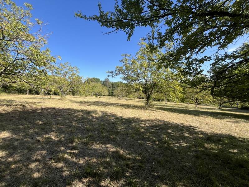 Vente Terrain Pontcirq - -8830 m² - (46150)