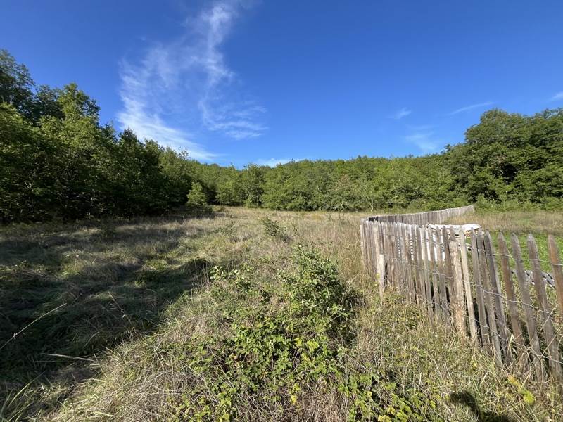 Vente Terrain Cazals - -3750 m² - (46250)