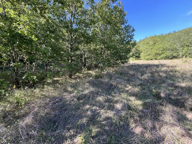 Vente Terrain Cazals - -3750 m² - (46250)
