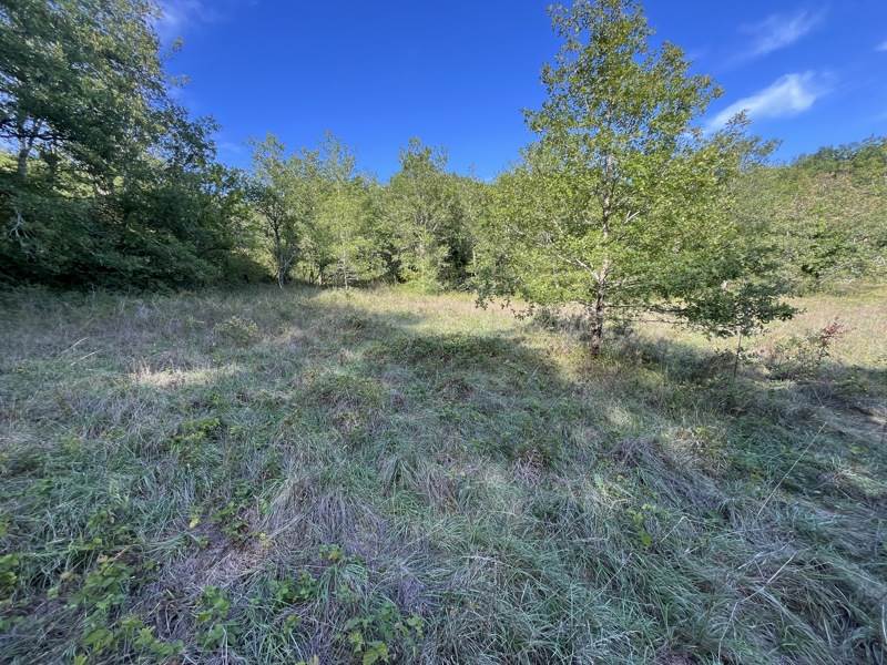 Vente Terrain Cazals - -3750 m² - (46250)