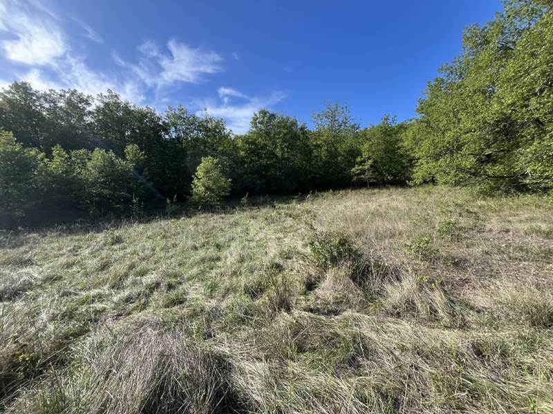 Vente Terrain Cazals - -3750 m² - (46250)