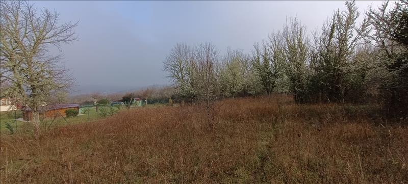Vente Terrain ALBAS - -2391 m² - (46140)