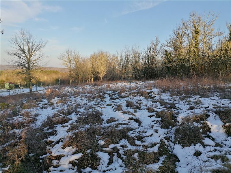 Vente Terrain ALBAS - -2391 m² - (46140)
