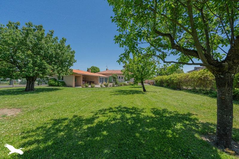 Vente Maison CORNEBARRIEU - 5 pièces -133 m² - (31700)