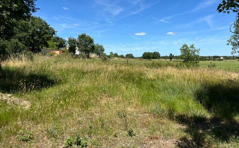 Vente Terrain AUSSONNE - -630 m² - (31840)