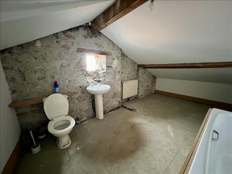 Vente Maison MONTREJEAU - 10 pièces -230 m² - (31210)