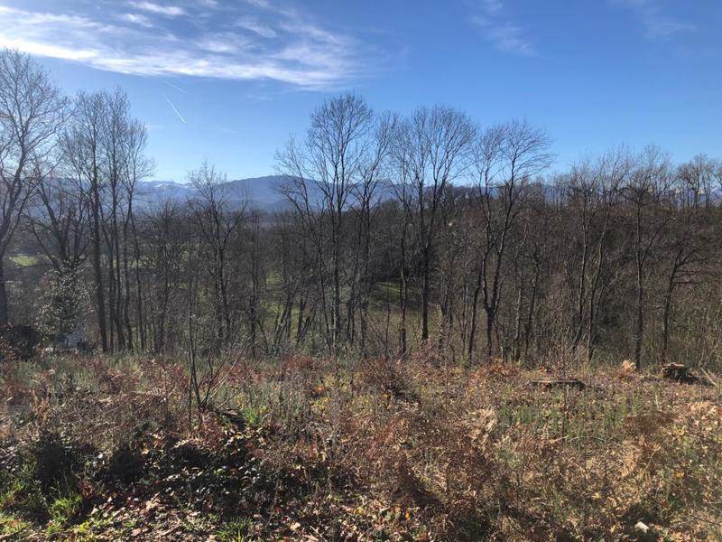 Vente Terrain PONLAT TAILLEBOURG - -2950 m² - (31210)