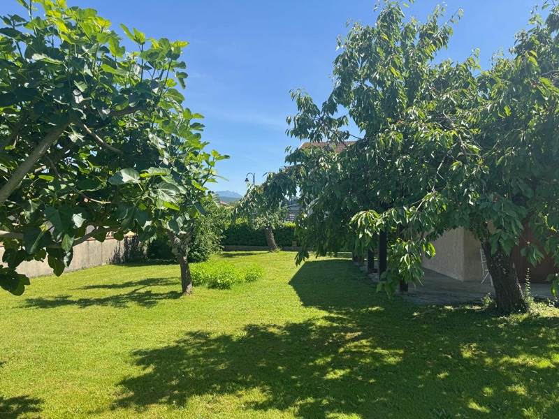 Vente Terrain AUSSON - -608 m² - (31210)